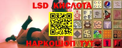 стафф Краснодар