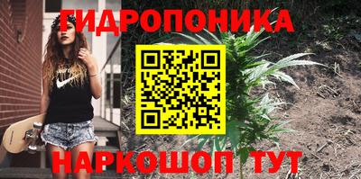 стафф Краснодар