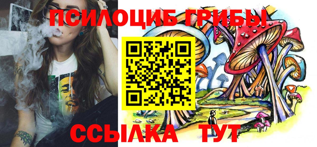 Псилоцибиновые грибы мицелий Стрежевой