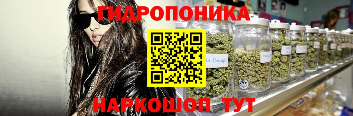 Каннабис сатива Стрежевой